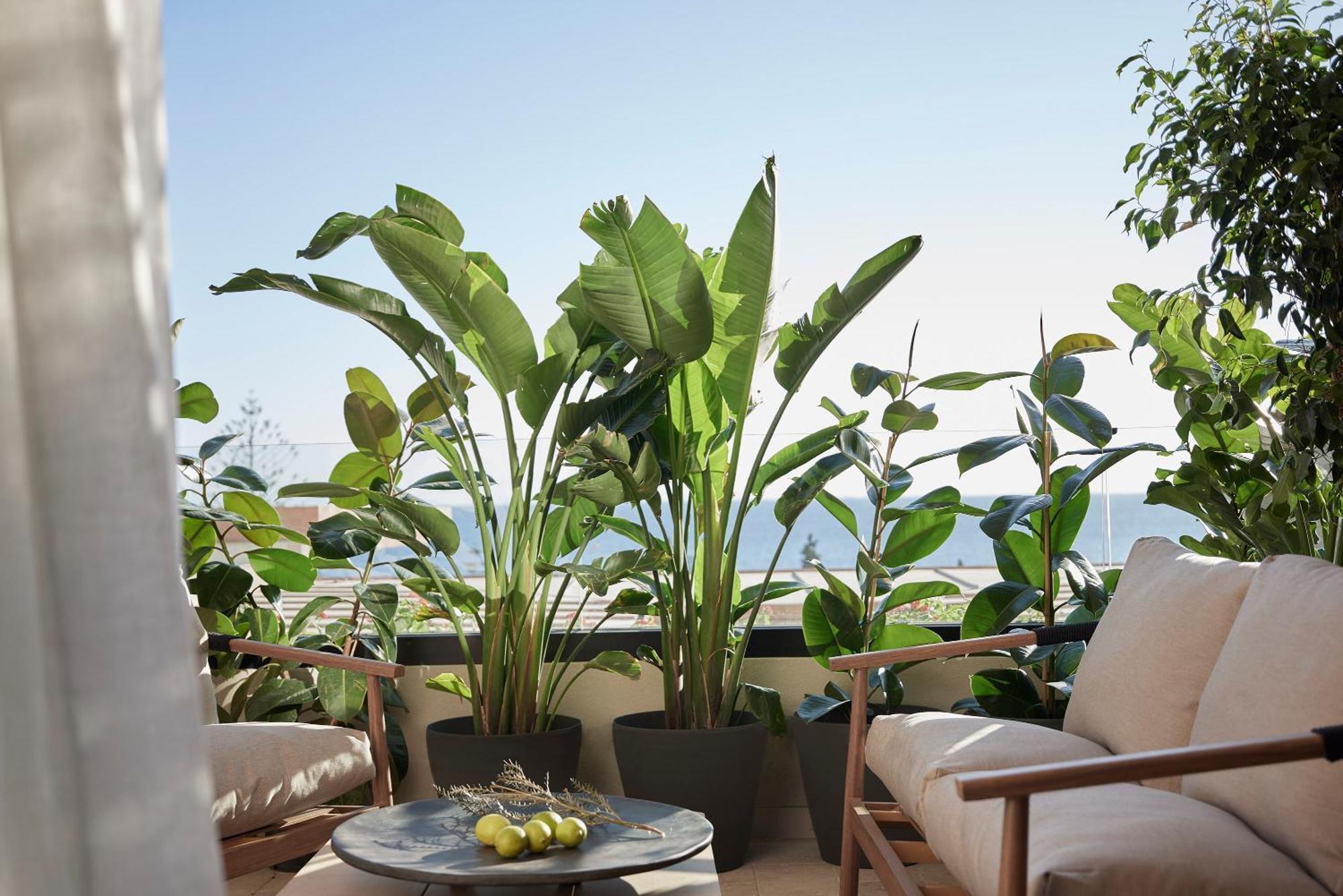 Helea Lifestyle Beach Resort Kallithéa エクステリア 写真 A balcony garden